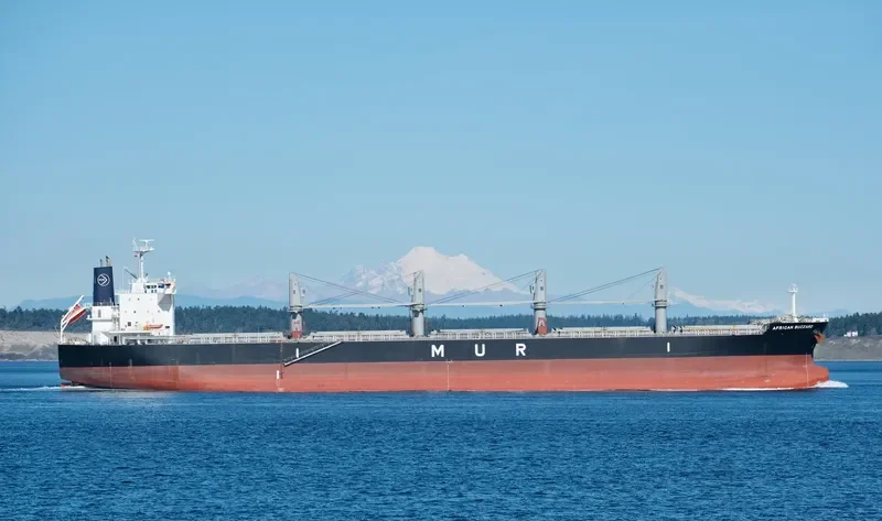 AFRICAN BUZZARD Bulk Carrier IMO 9720225 photo 4