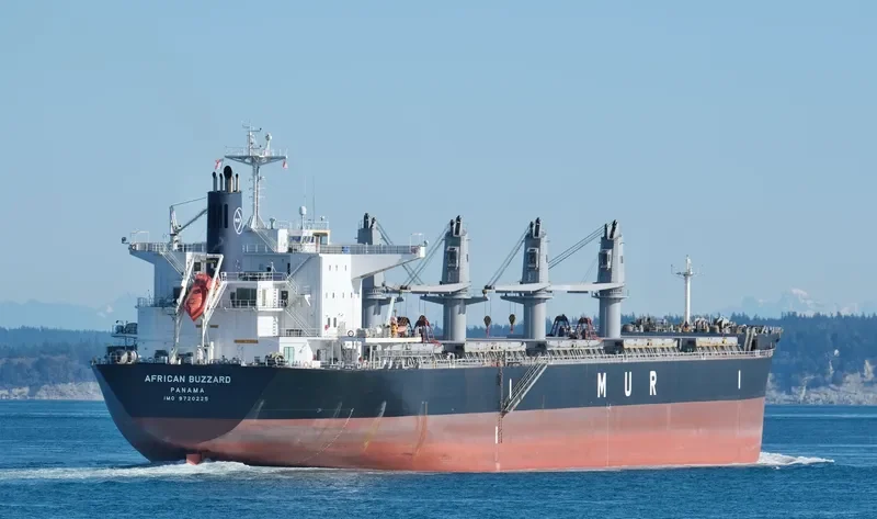 AFRICAN BUZZARD Bulk Carrier IMO 9720225 photo 6