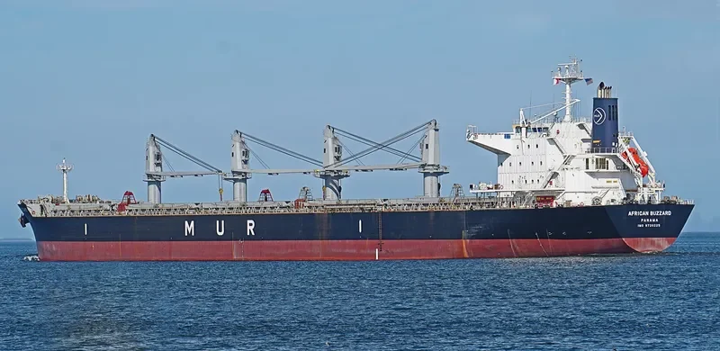AFRICAN BUZZARD Bulk Carrier IMO 9720225 photo 7