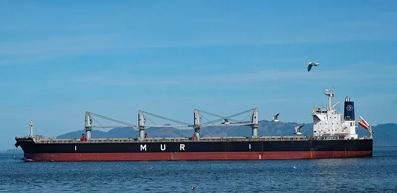 AFRICAN BUZZARD Bulk Carrier IMO 9720225 photo 8