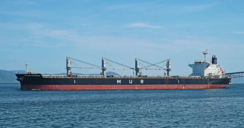 AFRICAN BUZZARD Bulk Carrier IMO 9720225 photo 9