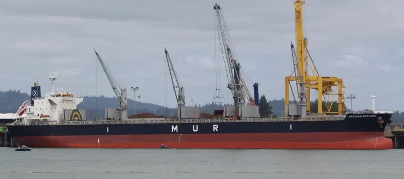 AFRICAN BUZZARD Bulk Carrier IMO 9720225 photo 10