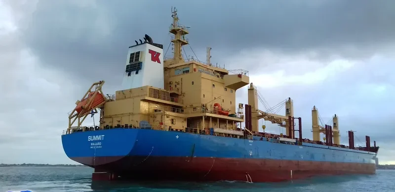 WL KIRILLOV Bulk Carrier IMO 9720263 photo 7