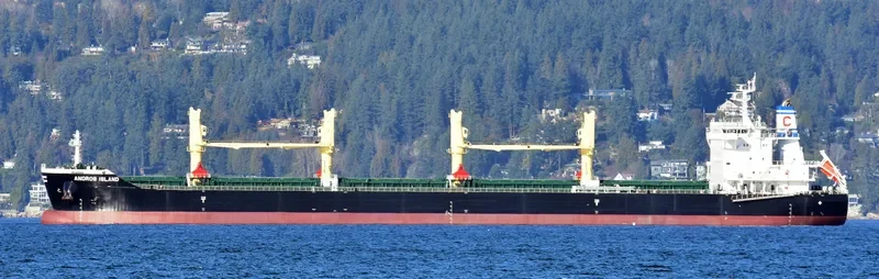 ANDROS ISLAND Bulk Carrier IMO 9720304