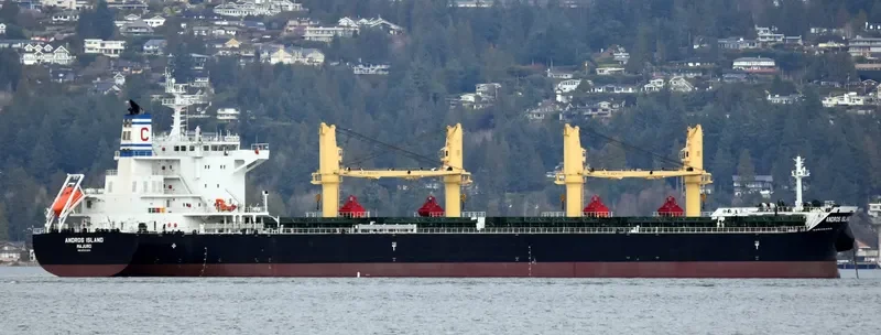 ANDROS ISLAND Bulk Carrier IMO 9720304 photo 2