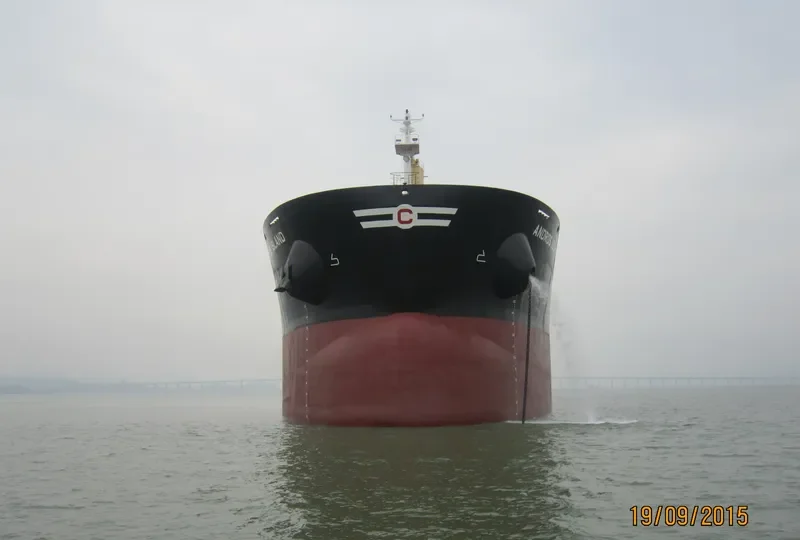 ANDROS ISLAND Bulk Carrier IMO 9720304 photo 3