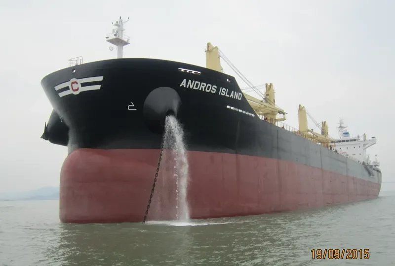 ANDROS ISLAND Bulk Carrier IMO 9720304 photo 4