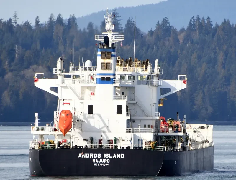 ANDROS ISLAND Bulk Carrier IMO 9720304 photo 5