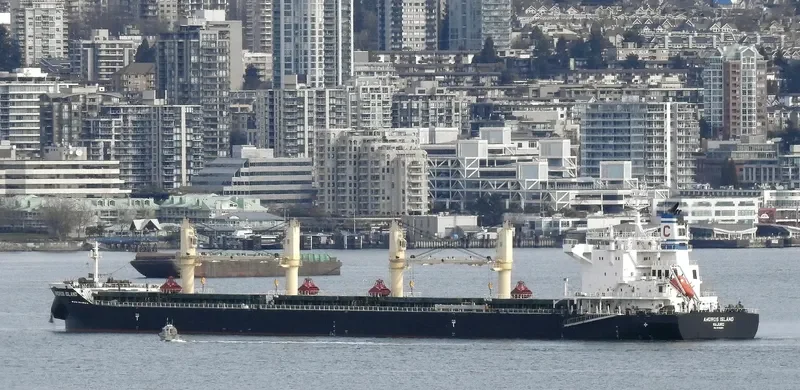 ANDROS ISLAND Bulk Carrier IMO 9720304 photo 6