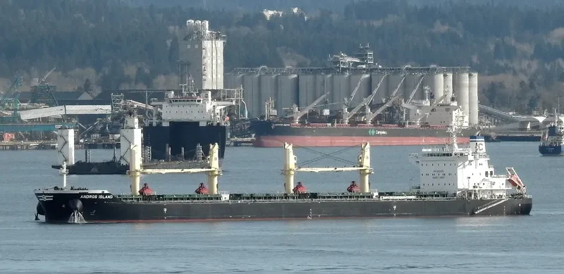ANDROS ISLAND Bulk Carrier IMO 9720304 photo 7