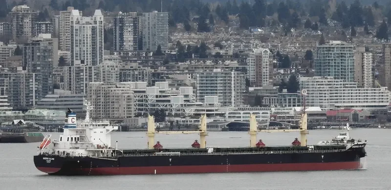 ANDROS ISLAND Bulk Carrier IMO 9720304 photo 8
