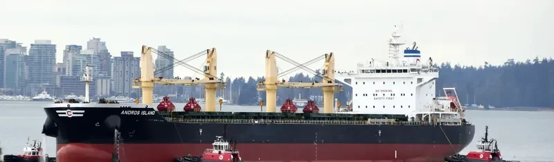ANDROS ISLAND Bulk Carrier IMO 9720304 photo 9