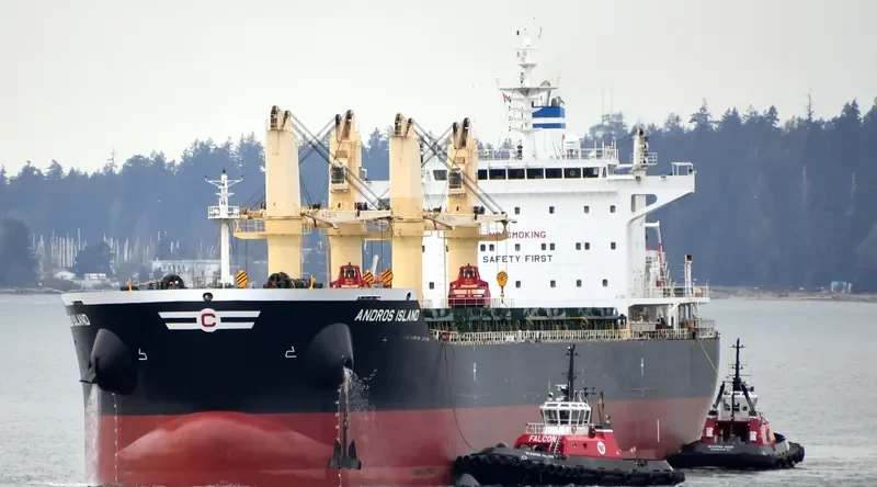 ANDROS ISLAND Bulk Carrier IMO 9720304 photo 10