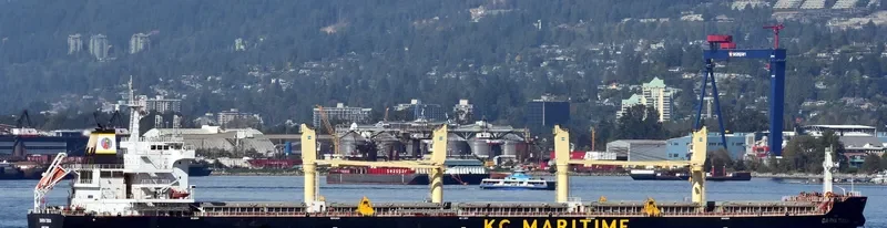 DARYA TIANA Bulk Carrier IMO 9720316 photo 2