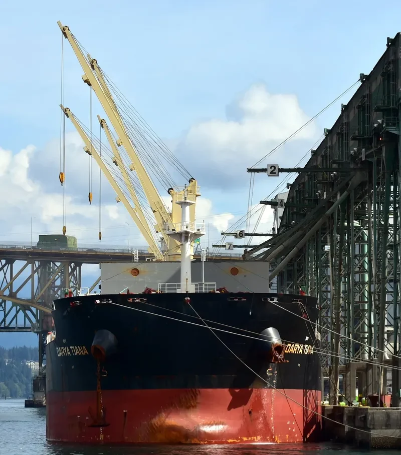 DARYA TIANA Bulk Carrier IMO 9720316 photo 3