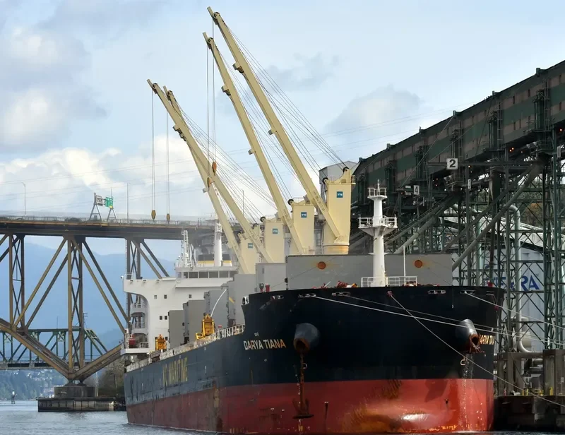 DARYA TIANA Bulk Carrier IMO 9720316 photo 4