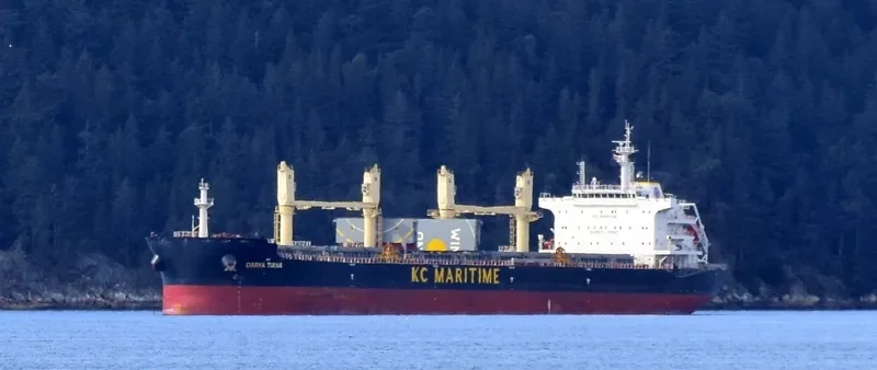 DARYA TIANA Bulk Carrier IMO 9720316 photo 6