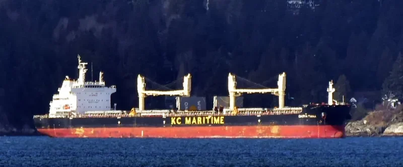 DARYA TIANA Bulk Carrier IMO 9720316 photo 7