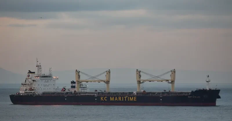 DARYA CHAND Bulk Carrier IMO 9720328 photo 5