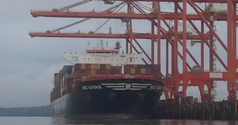 MSC SASHA Container Ship IMO 9720500