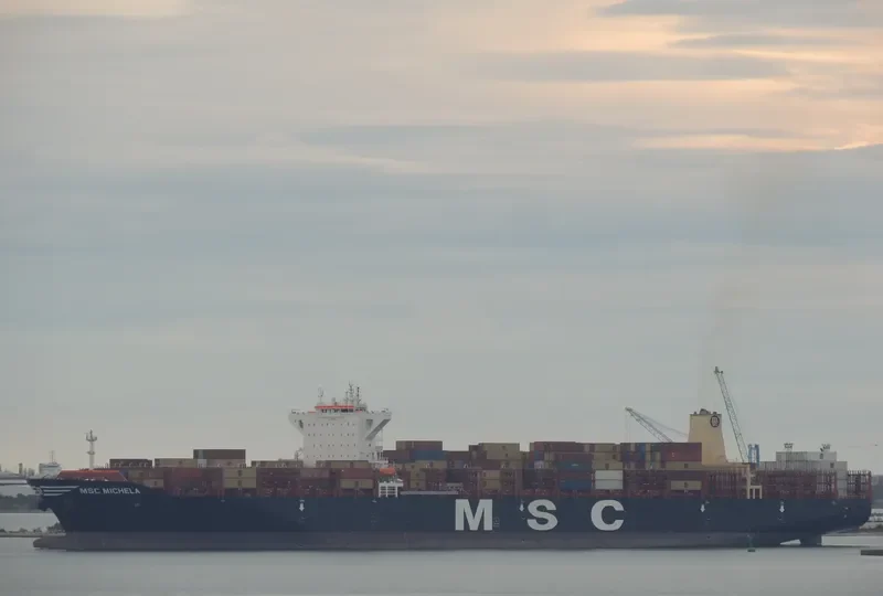 MSC MICHELA Container Ship IMO 9720512 photo 2