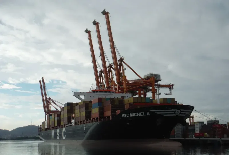 MSC MICHELA Container Ship IMO 9720512 photo 6
