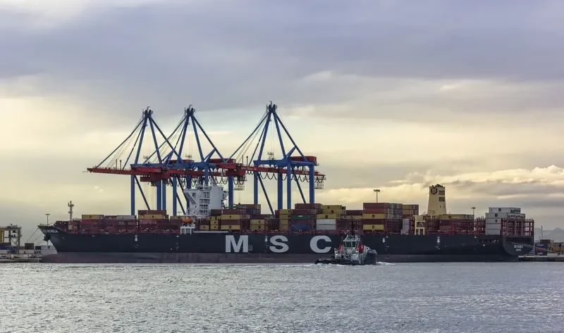 MSC MICHELA Container Ship IMO 9720512 photo 7