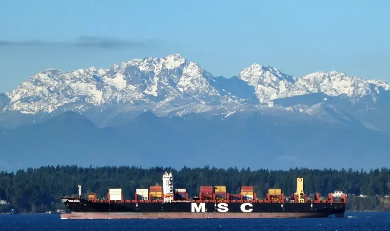 MSC CLEA Container Ship IMO 9720524