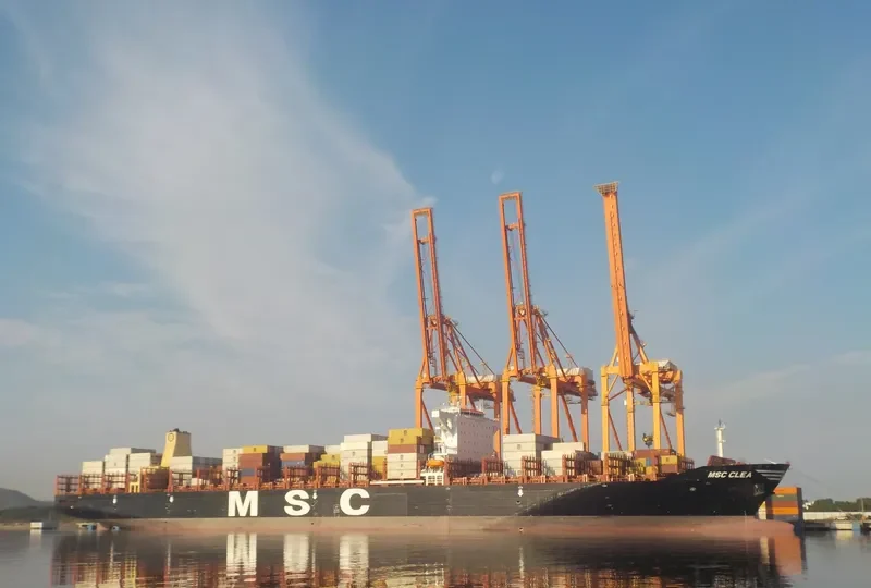 MSC CLEA Container Ship IMO 9720524 photo 5