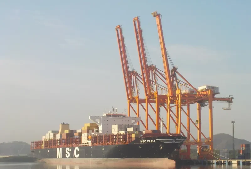 MSC CLEA Container Ship IMO 9720524 photo 6