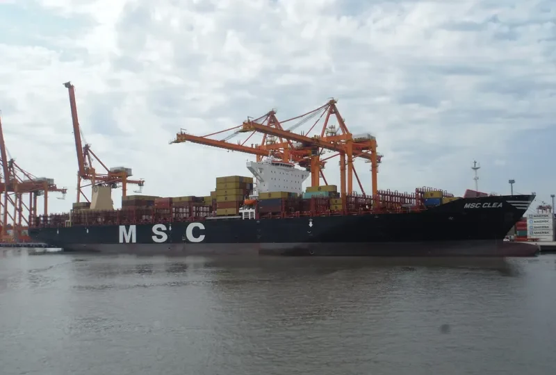 MSC CLEA Container Ship IMO 9720524 photo 7