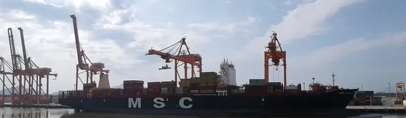 MSC CLEA Container Ship IMO 9720524 photo 8