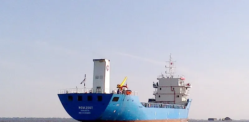WGM 256 T Container Ship IMO 9720665 photo 2
