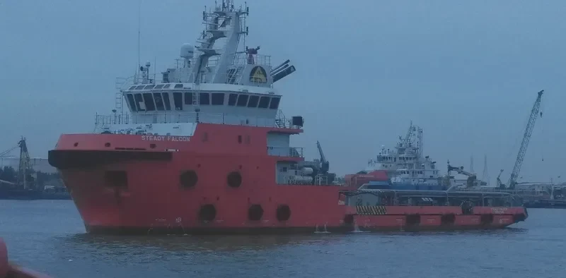 STEADY FALCON Multi-Purpose Vessel IMO 9720885