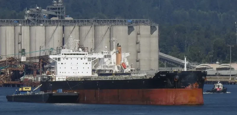 TR LADY Bulk Carrier IMO 9720926 photo 2