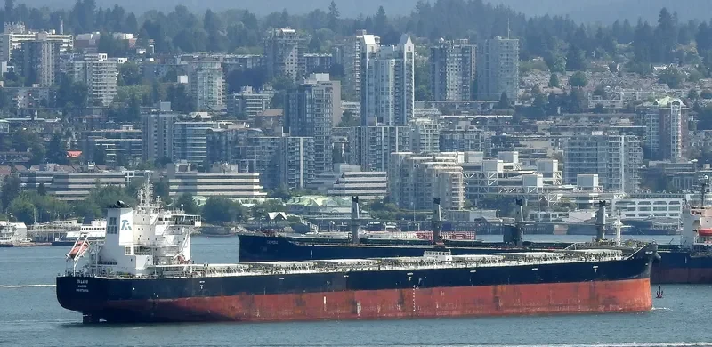 TR LADY Bulk Carrier IMO 9720926 photo 3
