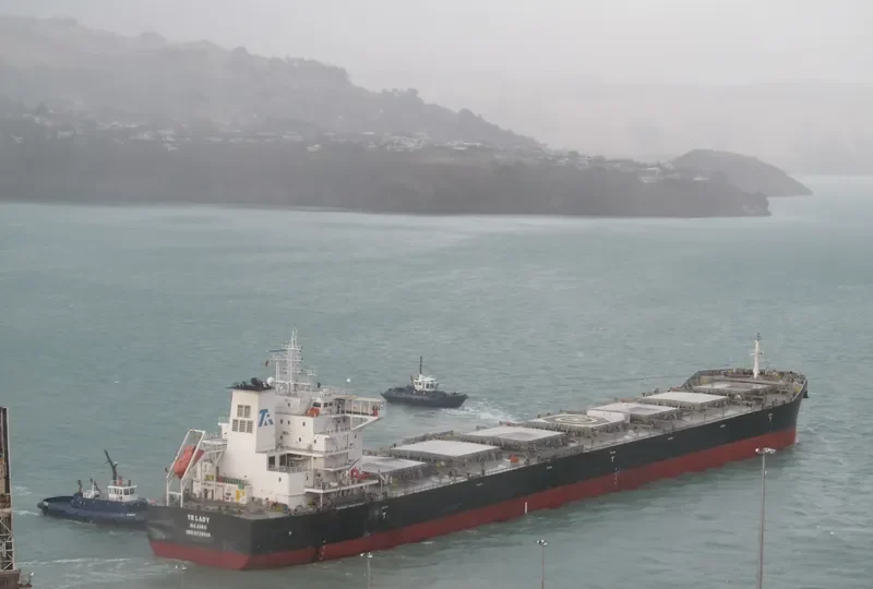 TR LADY Bulk Carrier IMO 9720926 photo 6