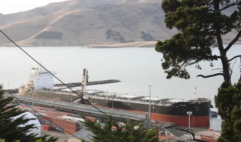 TR LADY Bulk Carrier IMO 9720926 photo 9