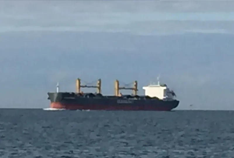 CL HEIDI Bulk Carrier IMO 9720952 photo 10