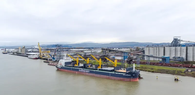 CL IRIS Bulk Carrier IMO 9720964 photo 3