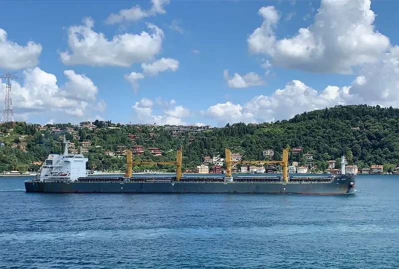 CL JUDY Bulk Carrier IMO 9720976 photo 3