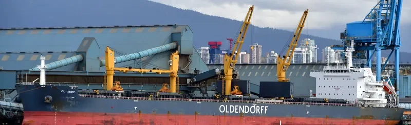 CL JUDY Bulk Carrier IMO 9720976 photo 7