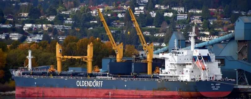 CL JUDY Bulk Carrier IMO 9720976 photo 8