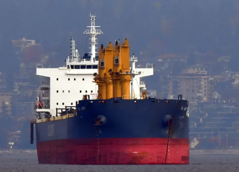 CL JUDY Bulk Carrier IMO 9720976 photo 10