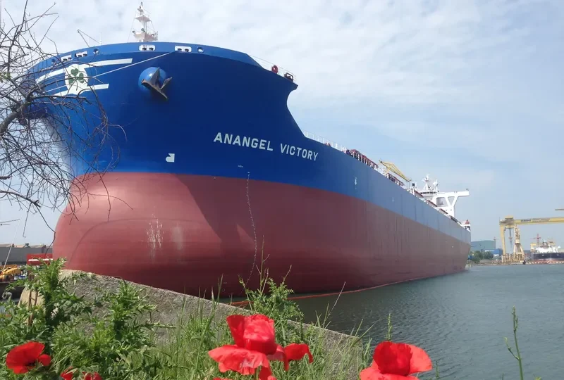 ANANGEL VICTORY Bulk Carrier IMO 9721023 photo 4