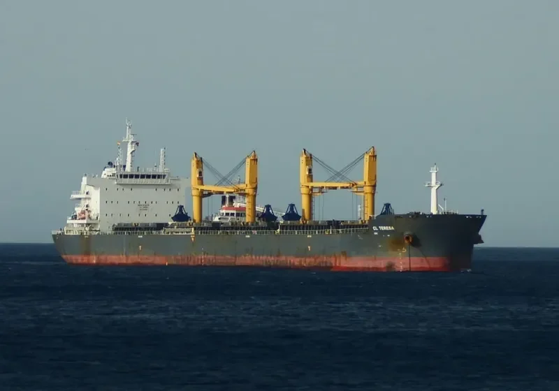 CL TERESA Bulk Carrier IMO 9721073 photo 7