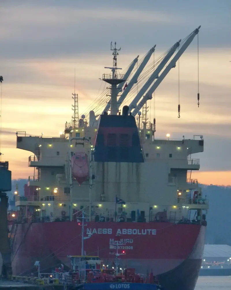 BEAUTY LILY Bulk Carrier IMO 9721308