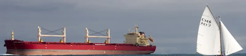 BEAUTY LILY Bulk Carrier IMO 9721308 photo 2