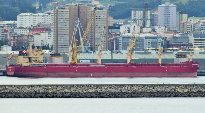 BEAUTY LILY Bulk Carrier IMO 9721308 photo 3