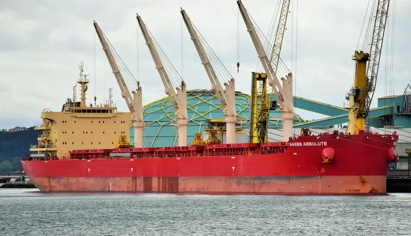 BEAUTY LILY Bulk Carrier IMO 9721308 photo 4